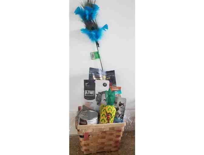 Gift Basket for your CAT! - Photo 1
