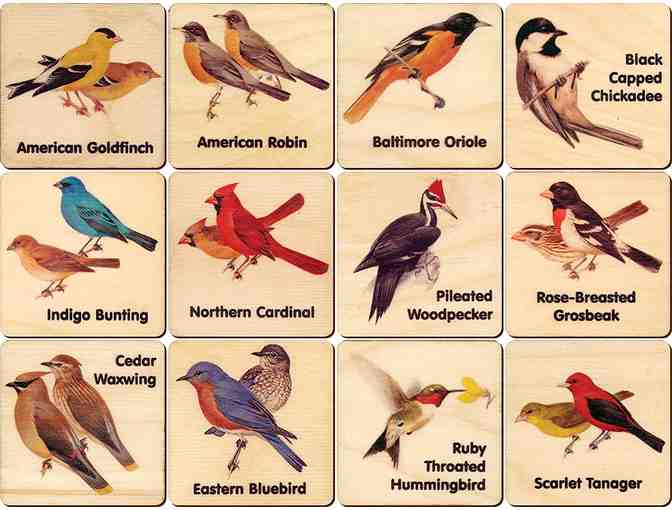 Peterson Backyard Birds Memory Tiles