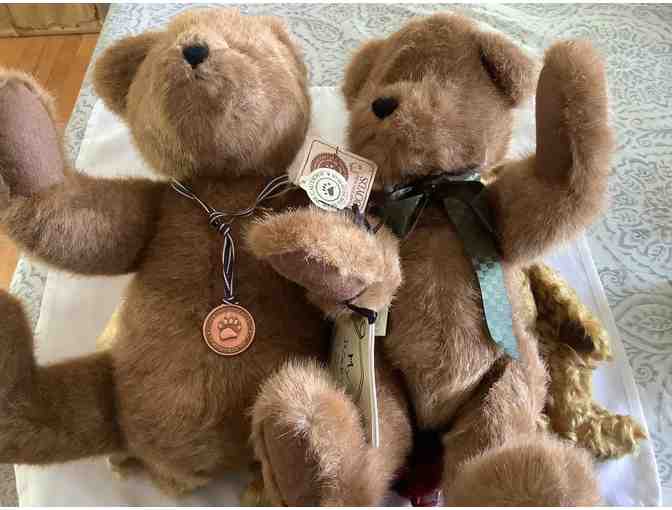 Seven BoydâÂÂs Bears