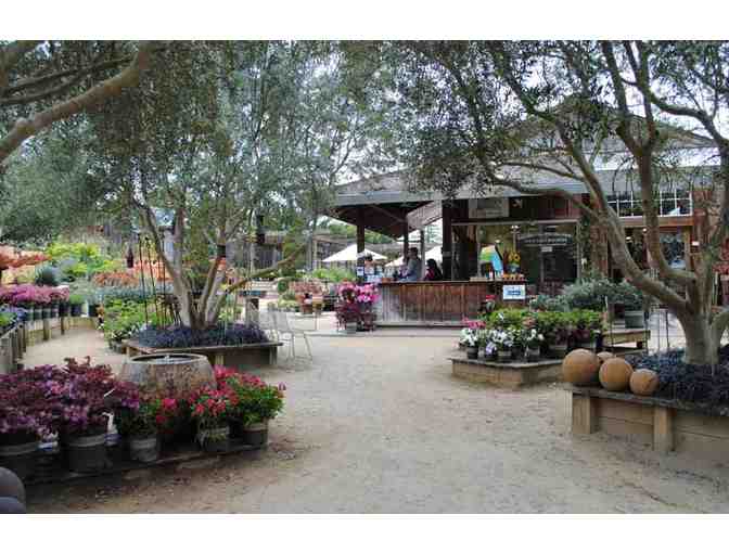 $25 Gift Card to Cottage Gardens of Petaluma - Photo 2