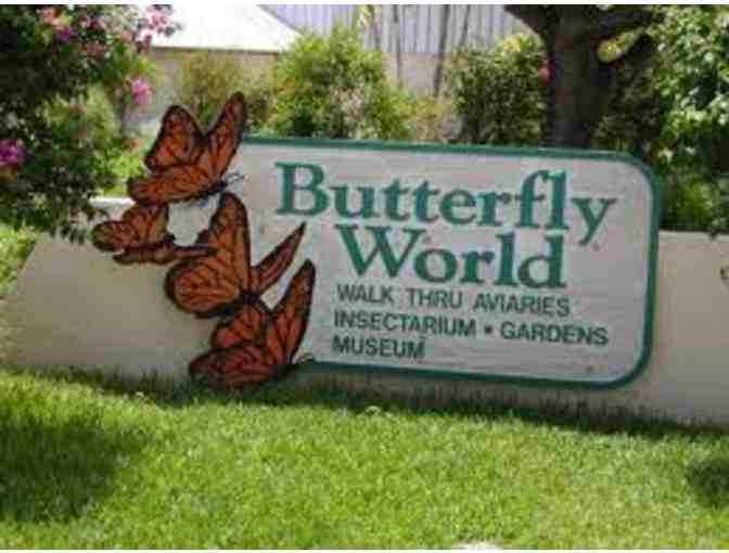 2 Tickets to Butterfly World - Photo 1