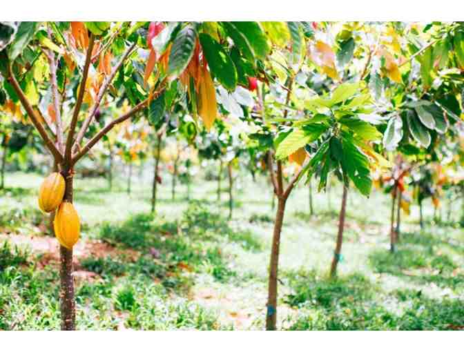 Chocolate Farm Tour for 2 Adults plus an Aloha bag of Chocolate - GC #1