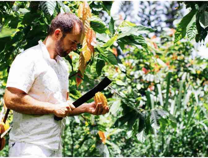 Chocolate Farm Tour for 2 Adults plus an Aloha bag of chocolate - GC #2