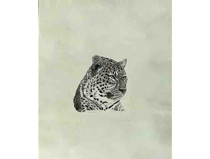 'African Leopord' Original Pen and Charcoal by Steve Jackson, Kauai