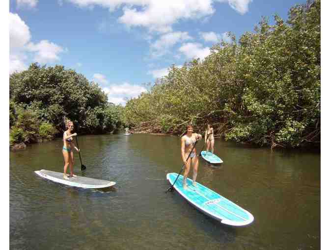 Paddle Boarding for 4 Hanalei Surf School