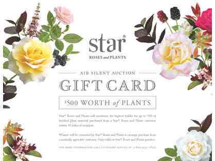 $500 Star Roses & Plants Gift Certificate
