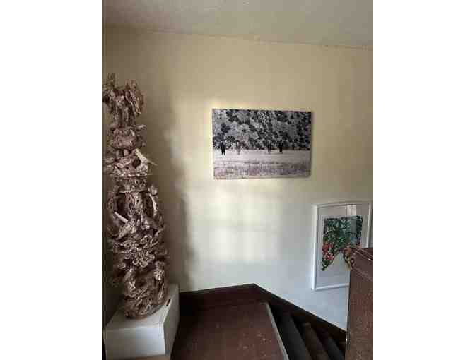 Wild Mustangs of Montana Photograph on Metal