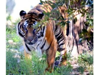 Four guest passes to the Austin Zoo and Animal Sanctuary