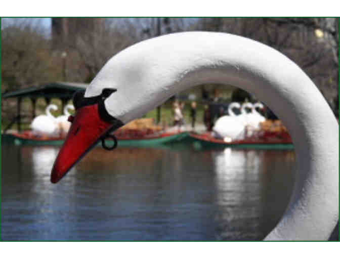 Four Tickets for the Swan Boats of Boston
