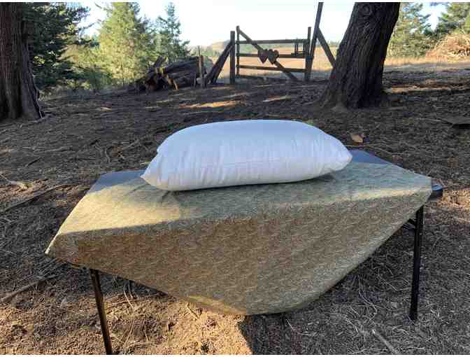 Wool-filled Pillow with Organic Cotton Sateen Cover