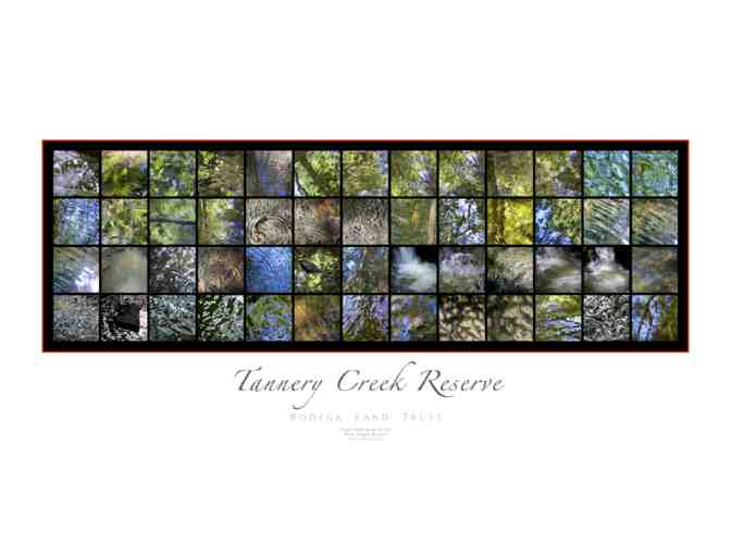 Tannery Creek Reserve Color Field Series Poster by Rhen August Benson