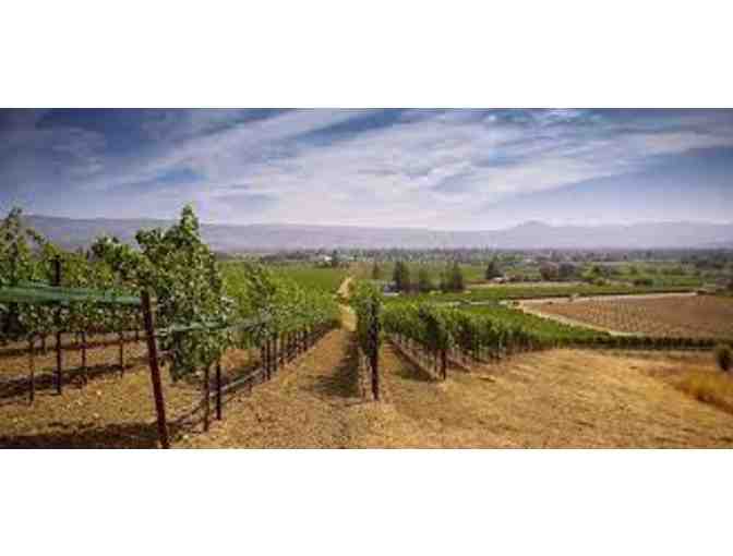 2019 Dakota Shy Wine Estate Cabernet Sauvignon - Napa Valley - Photo 3