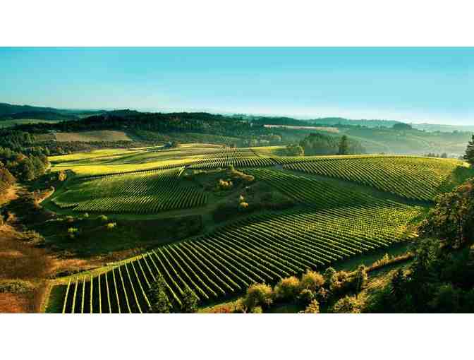 2018 Shea Wine Cellars Wilamette Valley Chardonnay - Photo 2