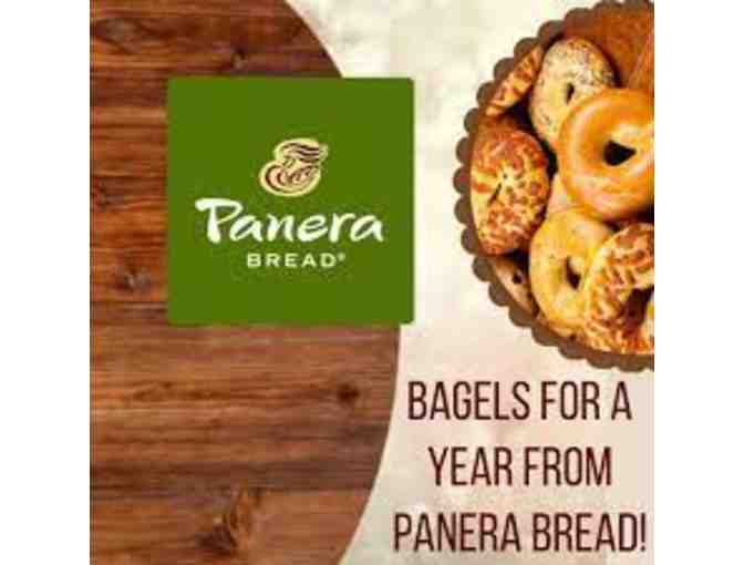 Bagels for a Year from Panera Bread - Photo 1