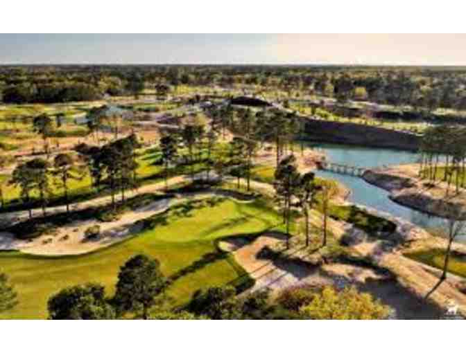 Golfer's Choice