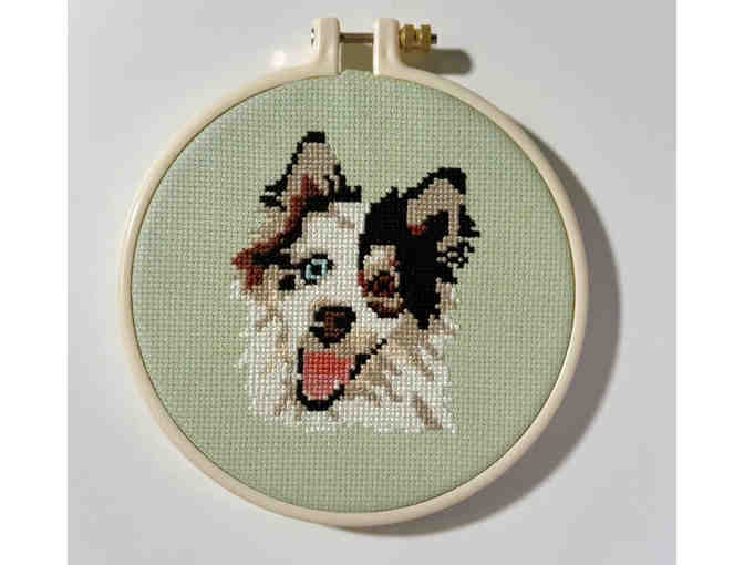 Pet on Point