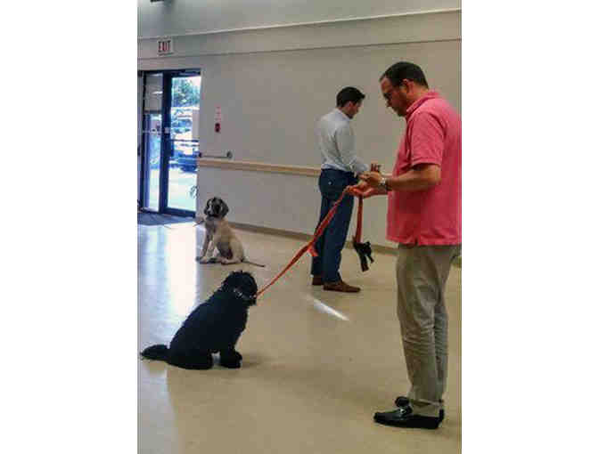 Mother Knows Best OBEDIENCE TRAINING FOR DOGS. FV-06