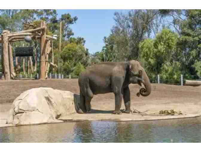 San Diego Zoo or Safari Park tickets for TWO!
