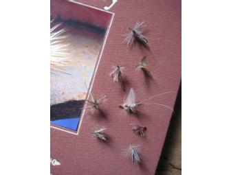 Flies Tied by Chauncy Lively
