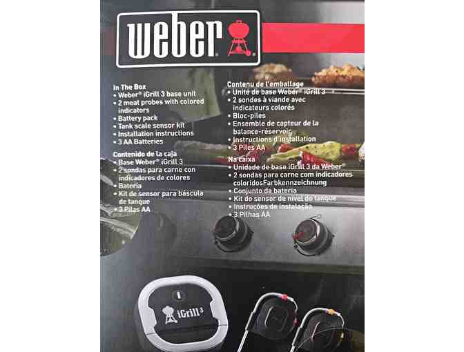 Webber iGrill 3