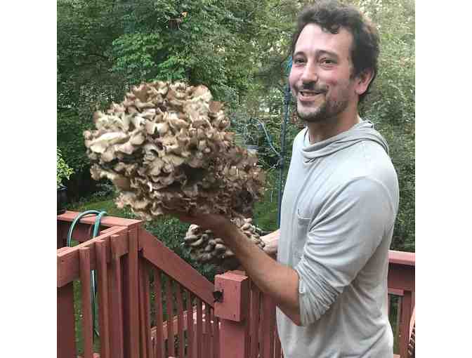 Wild Mushroom Foraging Walk with Mark Johnson - Photo 4
