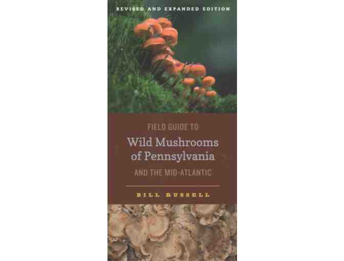 Wild Mushroom Foraging Walk with Mark Johnson - Photo 5
