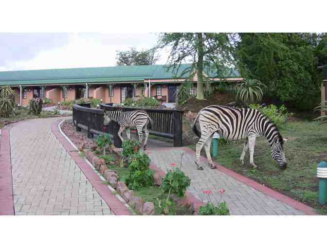 Zulu Nyala Heritage Lodge Photo Safari - South Africa (6 nights for 2 people) - Photo 3