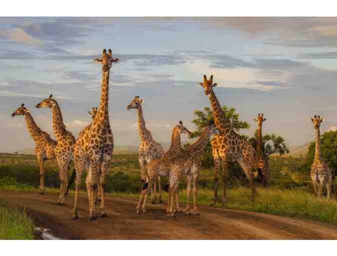 Zulu Nyala Heritage Lodge Photo Safari - South Africa (6 nights for 2 people) - Photo 1