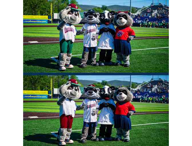 Hudson Valley Renegades Tickets