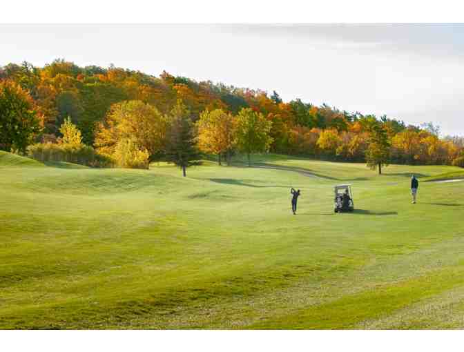 Golf Foursome + Cart - Photo 1