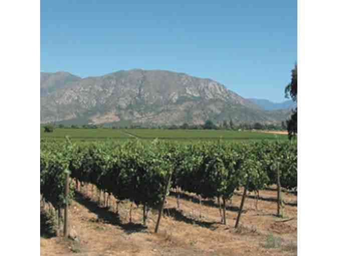 Magnotta Winery - Photo 2