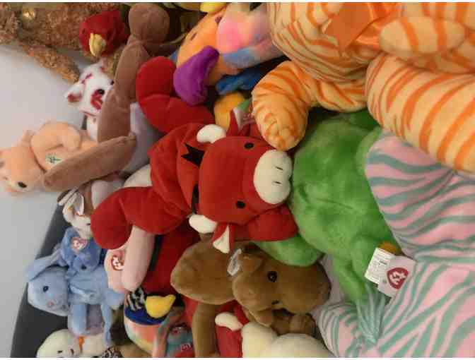 Beanie Buddy Collection - Rare Find