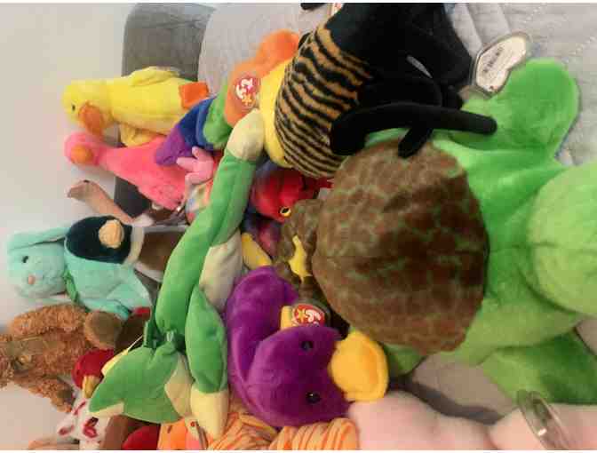 Beanie Buddy Collection - Rare Find