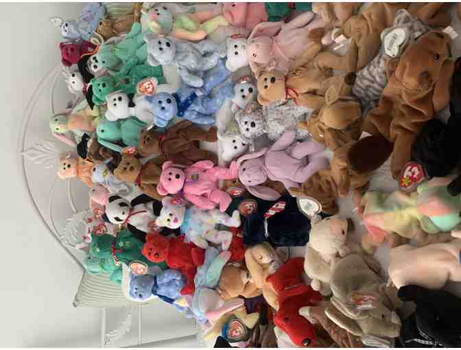 Beanie Babies - 202 in the collection