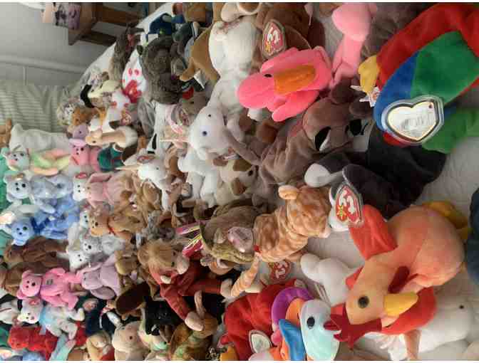 Beanie Babies - 202 in the collection