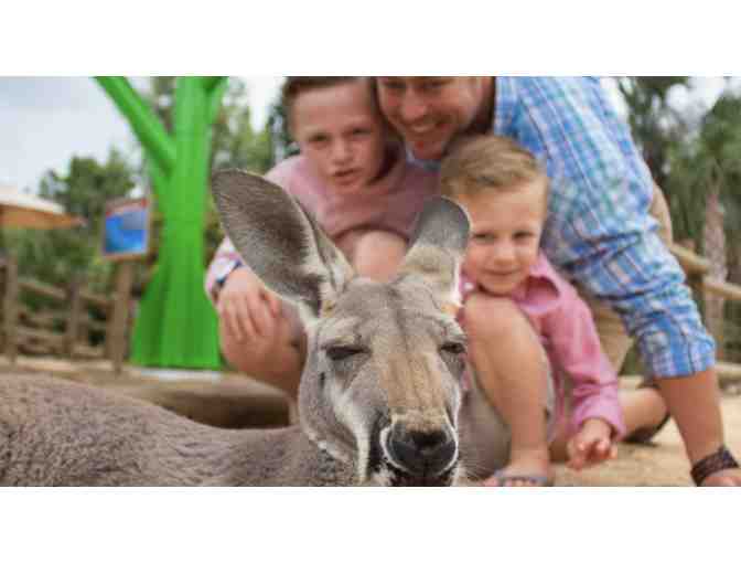 Family Trip to the Brevard Zoo - Photo 1