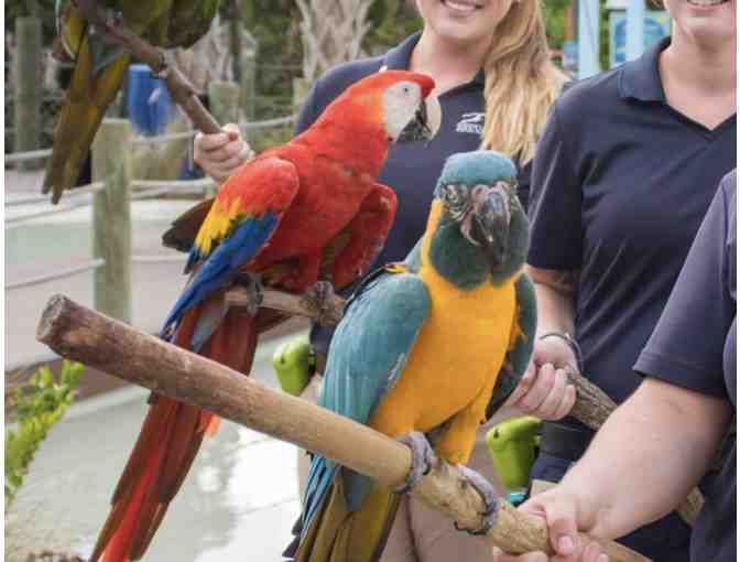 Family Trip to the Brevard Zoo - Photo 2