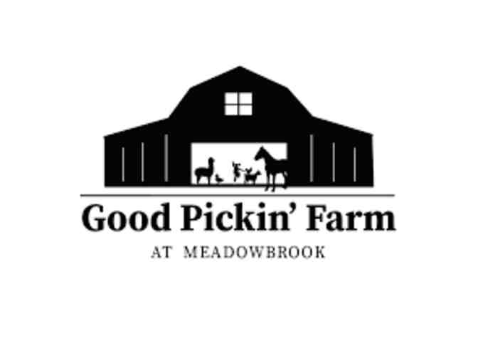 Good Pickin' Farm - Barnyard Brush Experience - Photo 1
