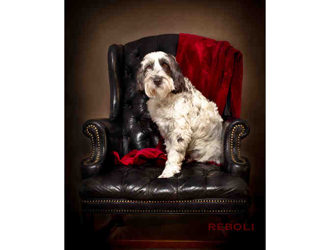 507.  Portrait Photo Session with Annabelle Reboli