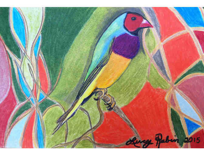 521.  Original Drawing of a Gouldian Finch by Lucy Rubin