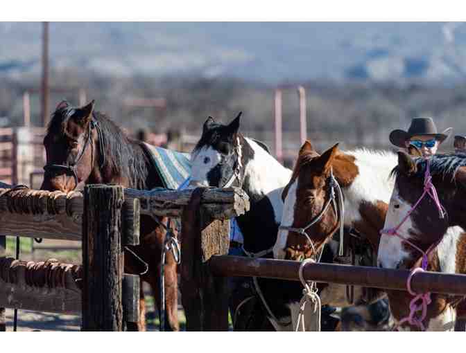 All-Inclusive Ranch Getaway in Benson, AZ! - Photo 7