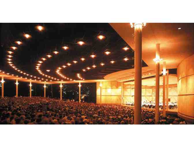 Ravinia four lawn tickets for a 2025 classical performance (Highland Park, IL)