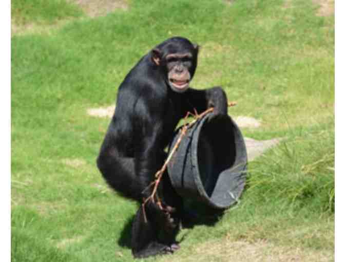 Little Rock Zoo four admission passes (Little Rock, AZ)