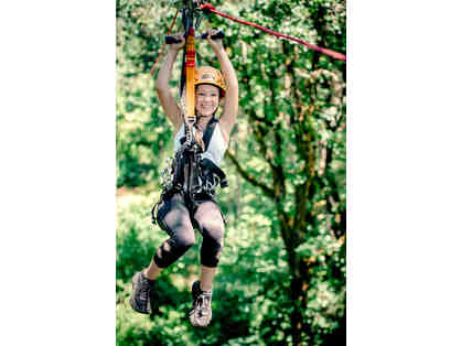 2 Adult Aerial Obstacle Courses at Tree to Tree Adventure