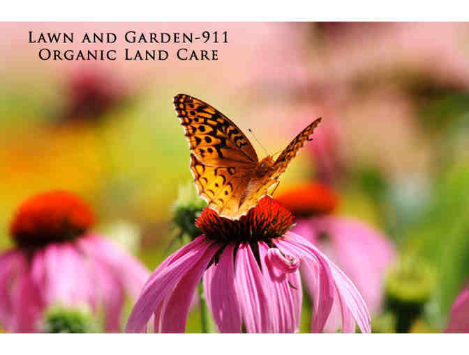 Gift Certificate for 2-hours of Gardening with Professional Horticulturalist Carol Lundeen