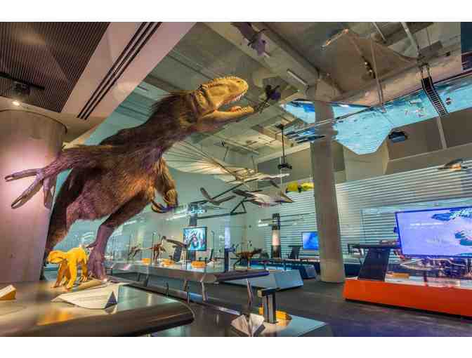 Enjoy year round fund with a Phillip and Patricia Frost Museum of Science Family Membership