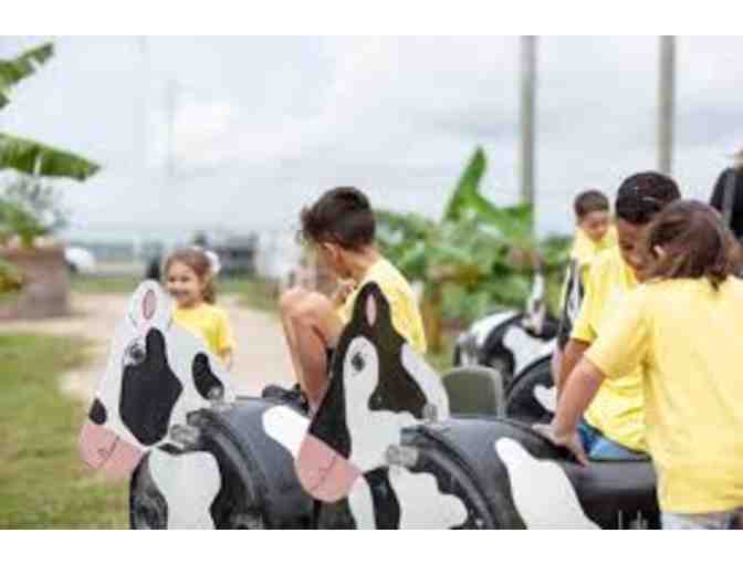 Spend a Day at the Farm with Admission for a Family of Six (6) to Tinez Farms