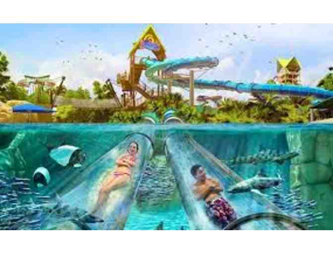 Enjoy Four (4) Single day tickets to Aquatica Orlando