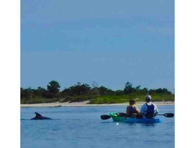 St. Augustine Dolphin Kayak or Paddle Board Tour