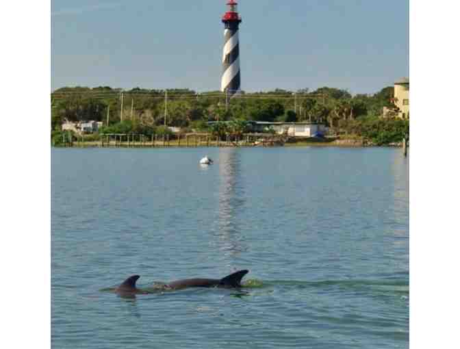 St. Augustine Dolphin Kayak or Paddle Board Tour